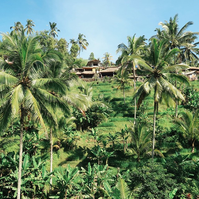 11232546_849552281758452_81089297_n