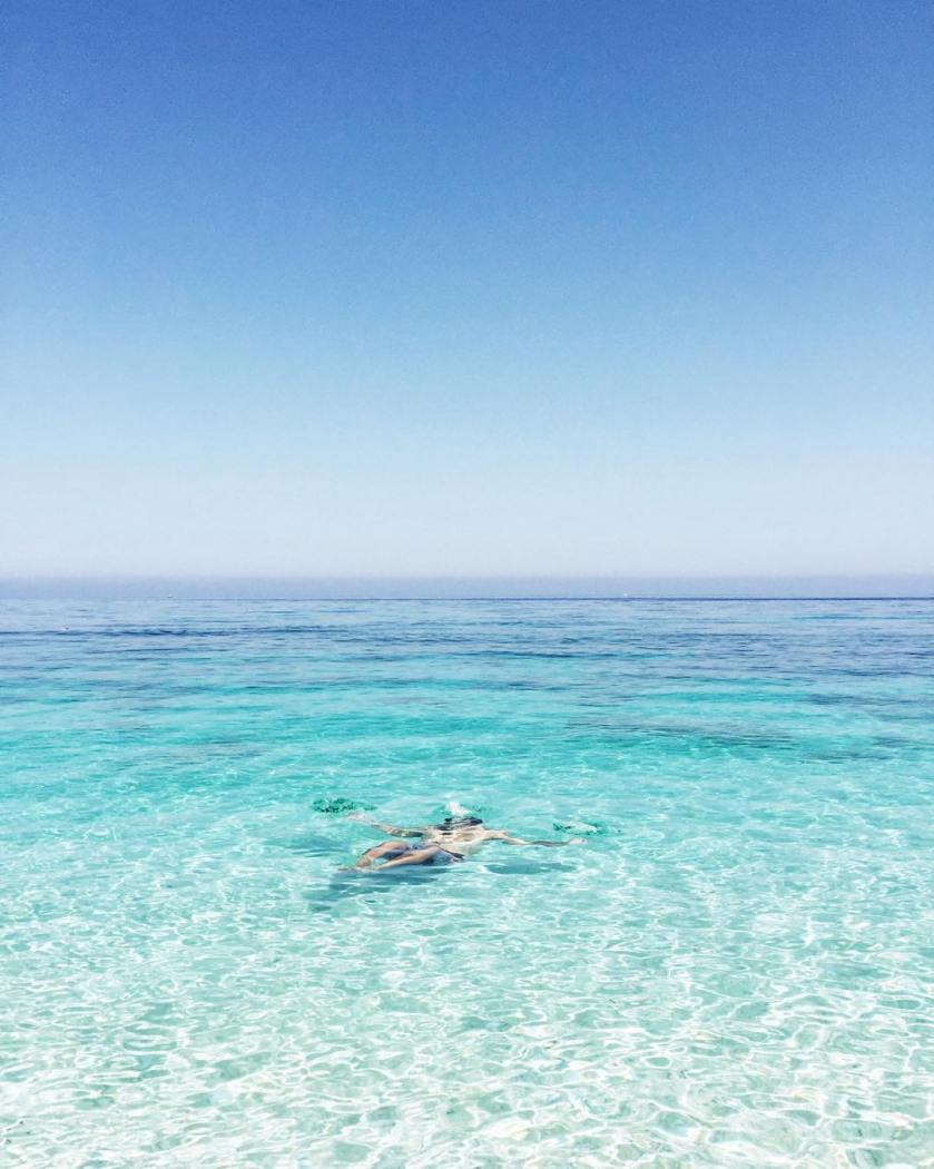 11261673_168111553523793_935552344_n