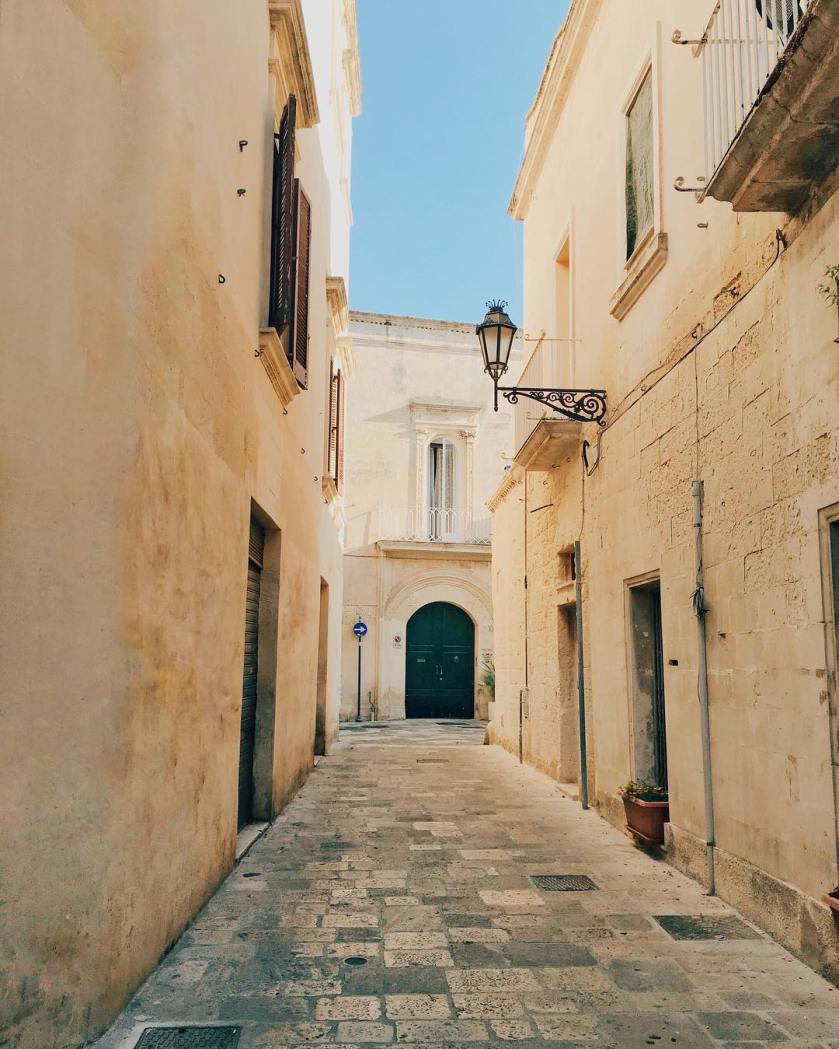 13437219_1556309601337688_1120609093_n