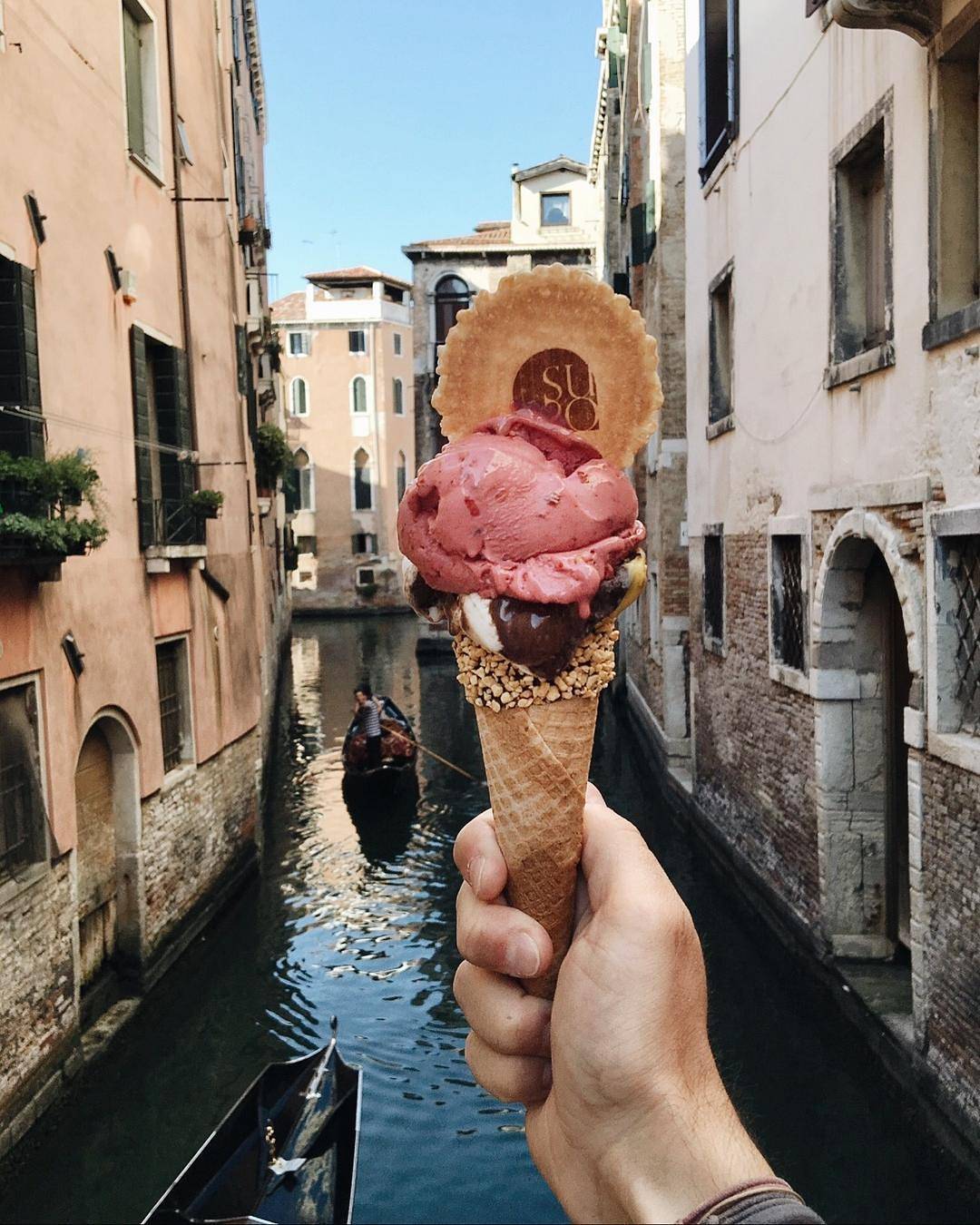 13652049_1636173990026152_146527638_n