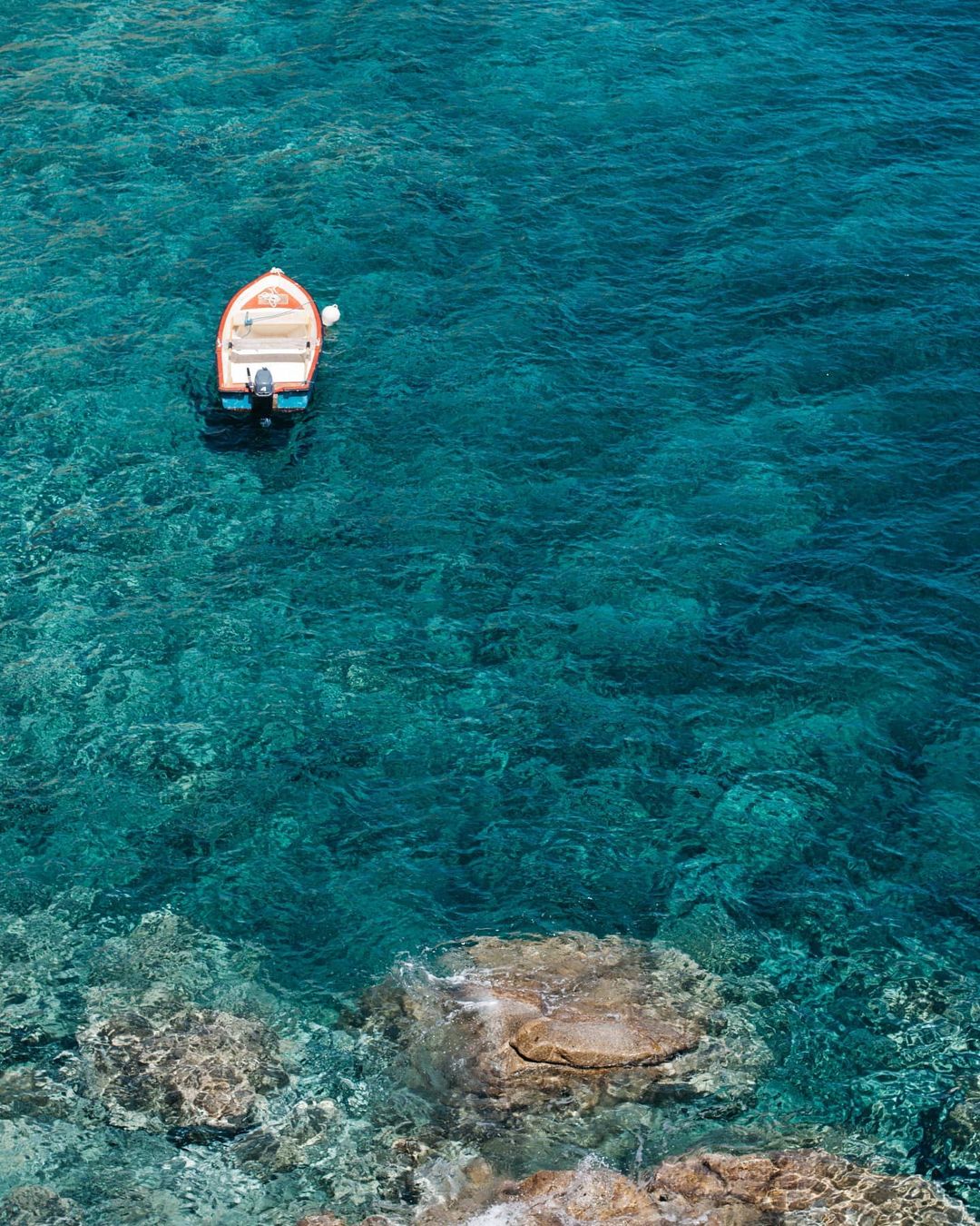 101050231_146126203705813_6650654199642545515_n