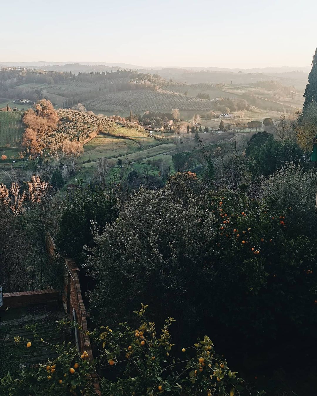 143711515_774925509897962_4330338333332993763_n