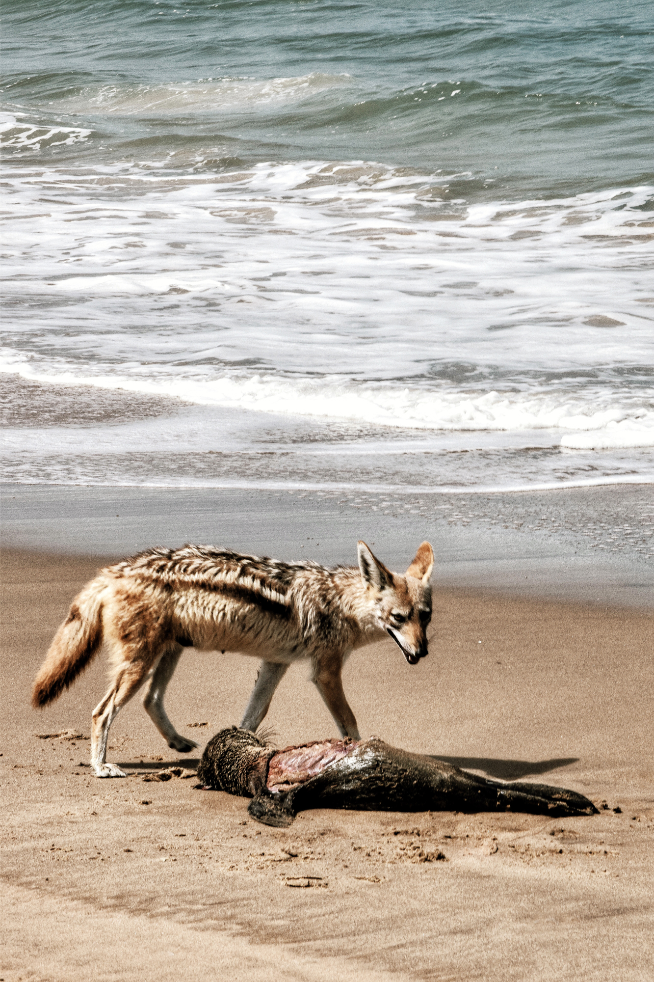 dsc_1393_edited