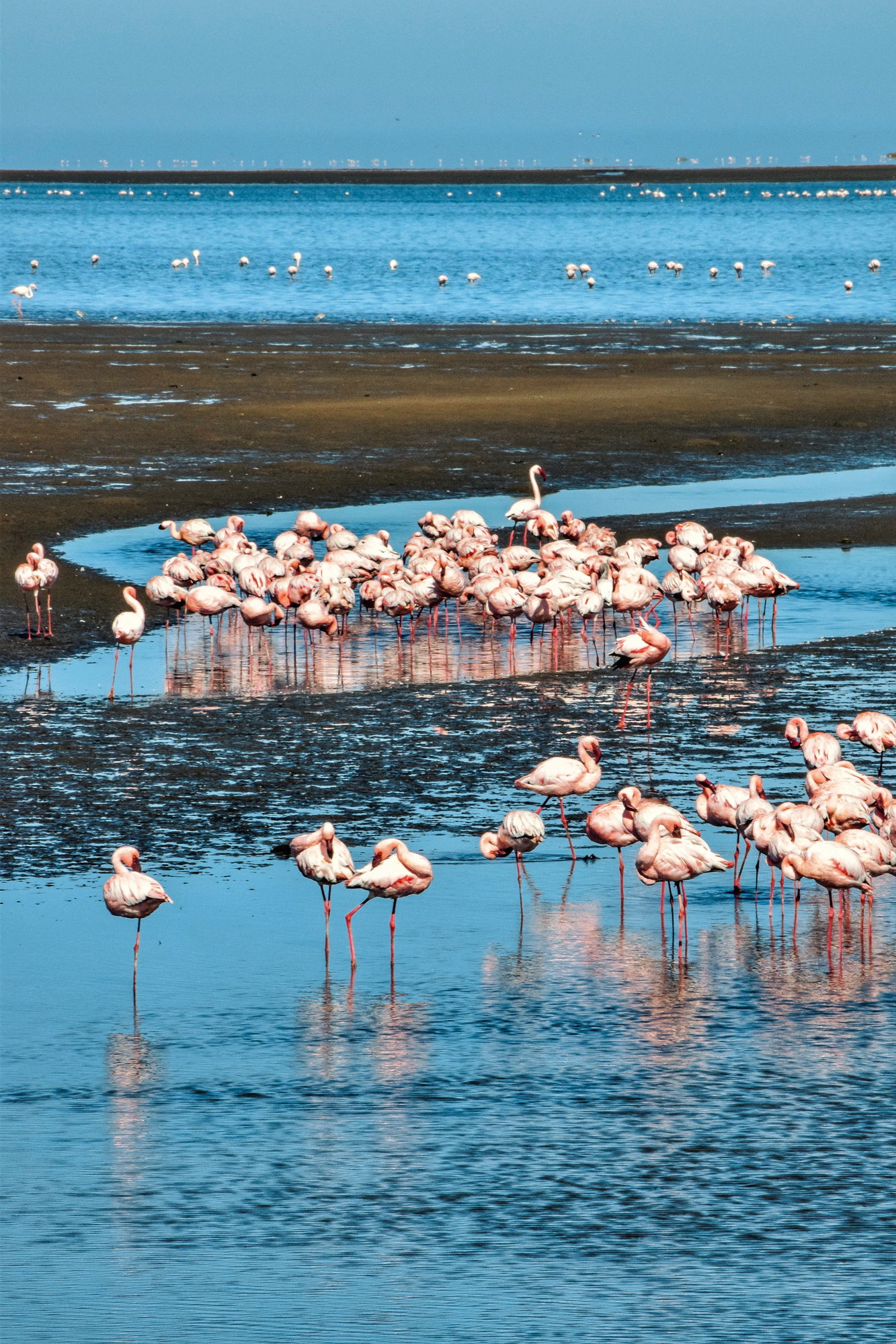 dsc_1380_edited