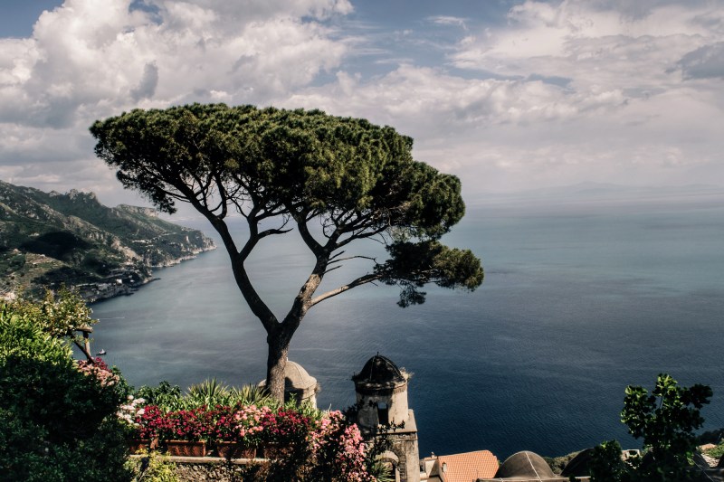 Processed with VSCO with a6 preset