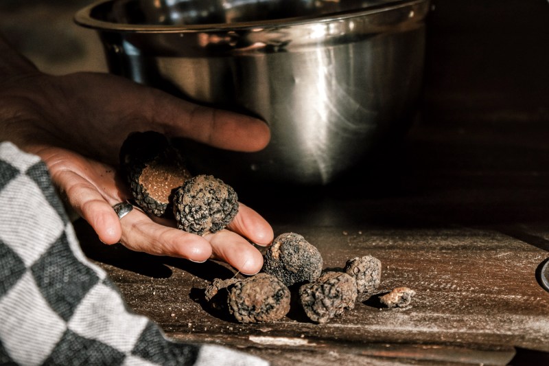 Processed with VSCO with j6 preset