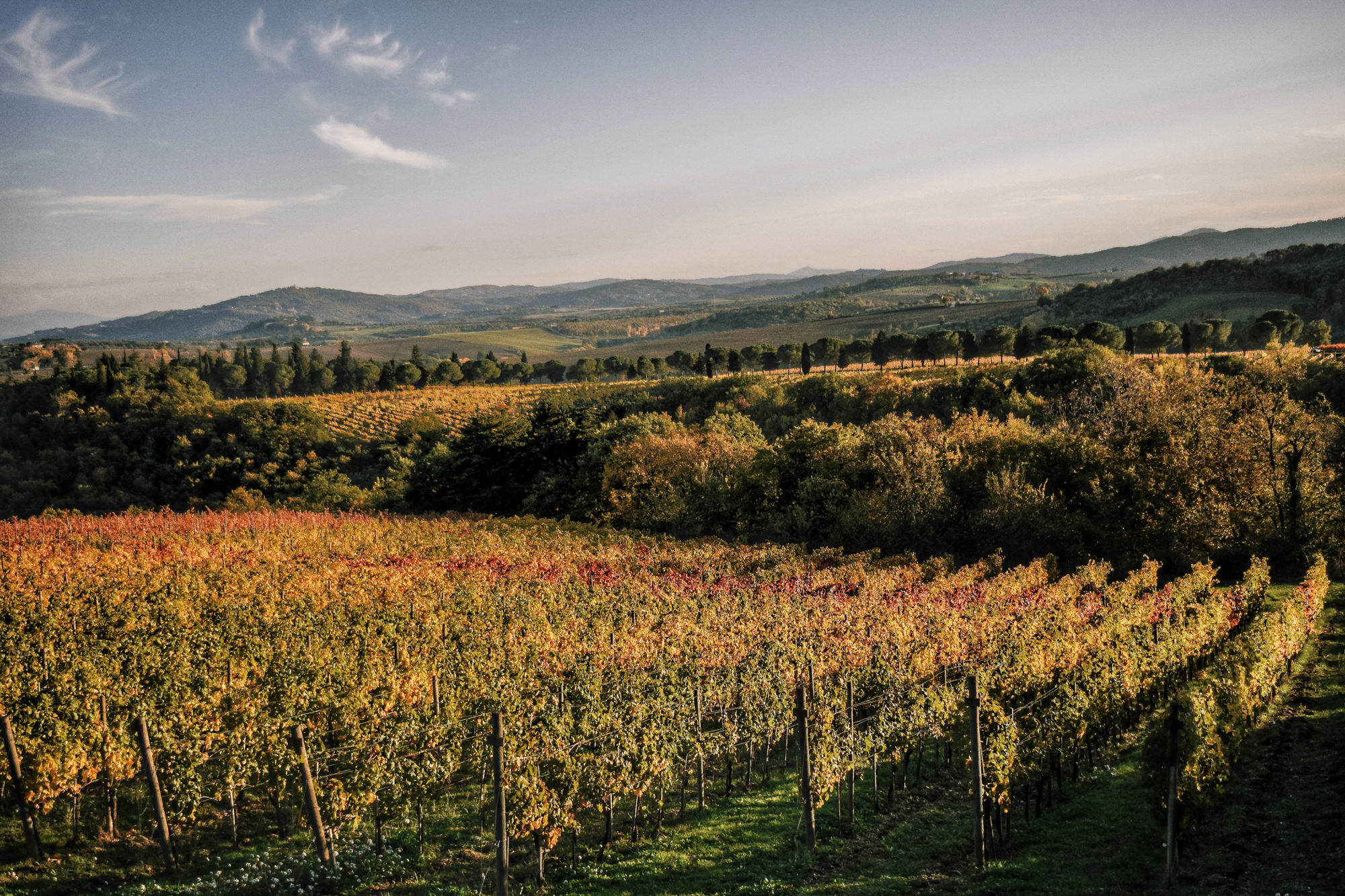 Processed with VSCO with j6 preset