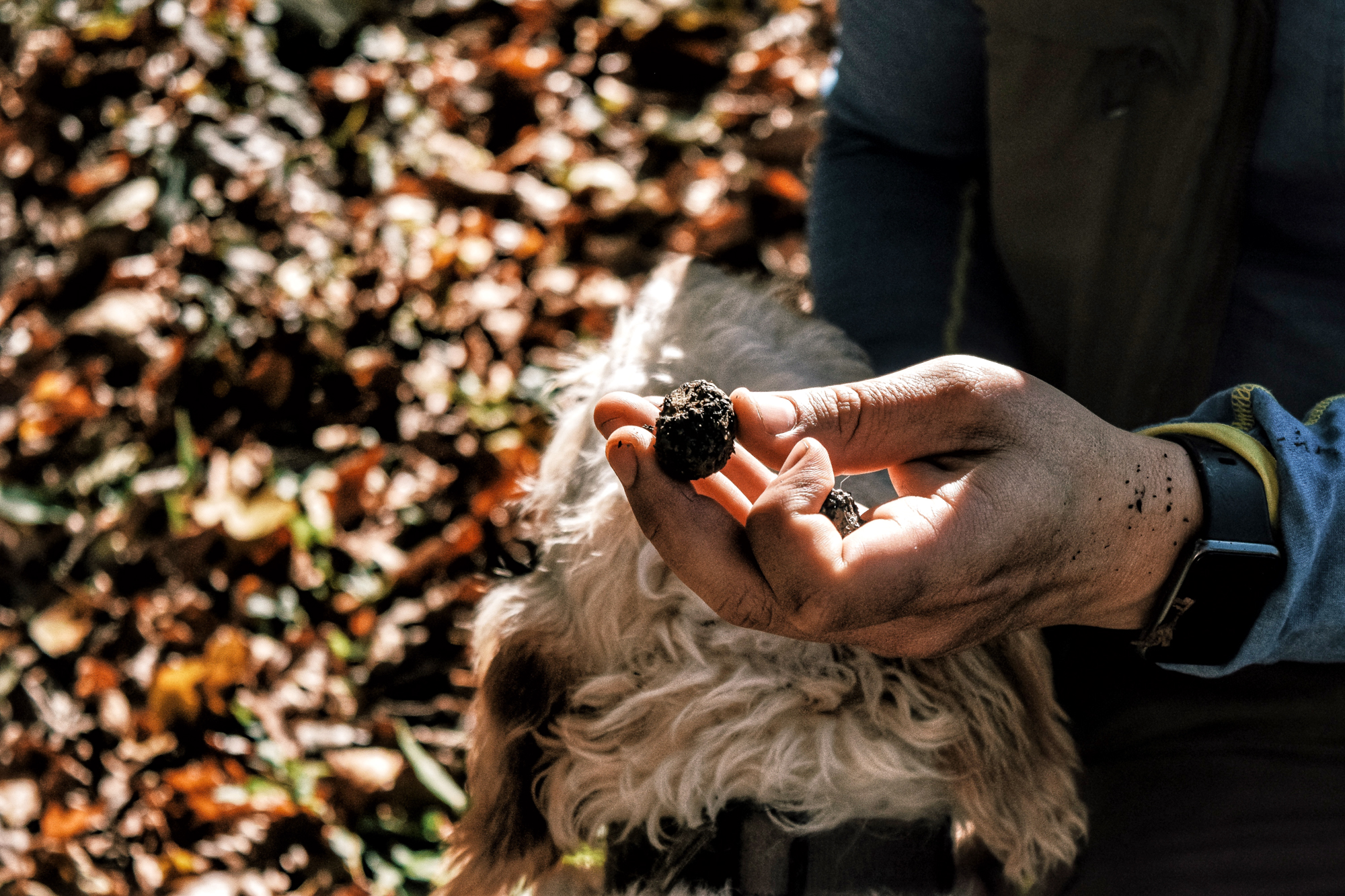 Processed with VSCO with j6 preset