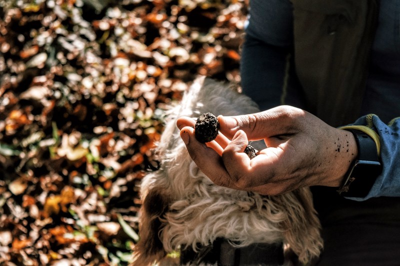 Processed with VSCO with j6 preset