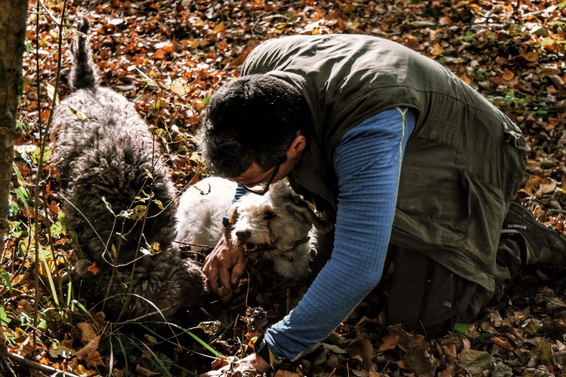 Processed with VSCO with j6 preset