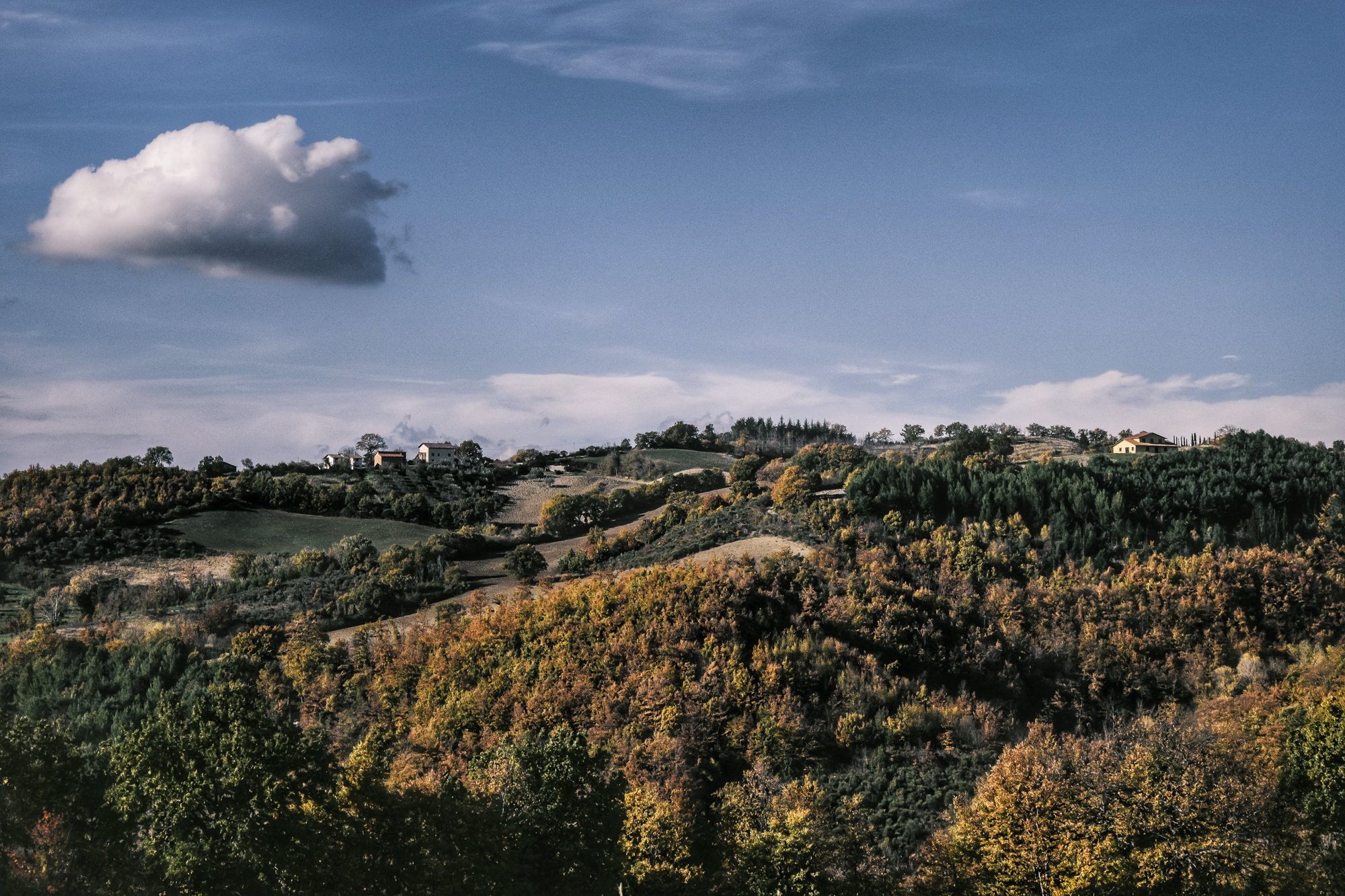 Processed with VSCO with a7 preset