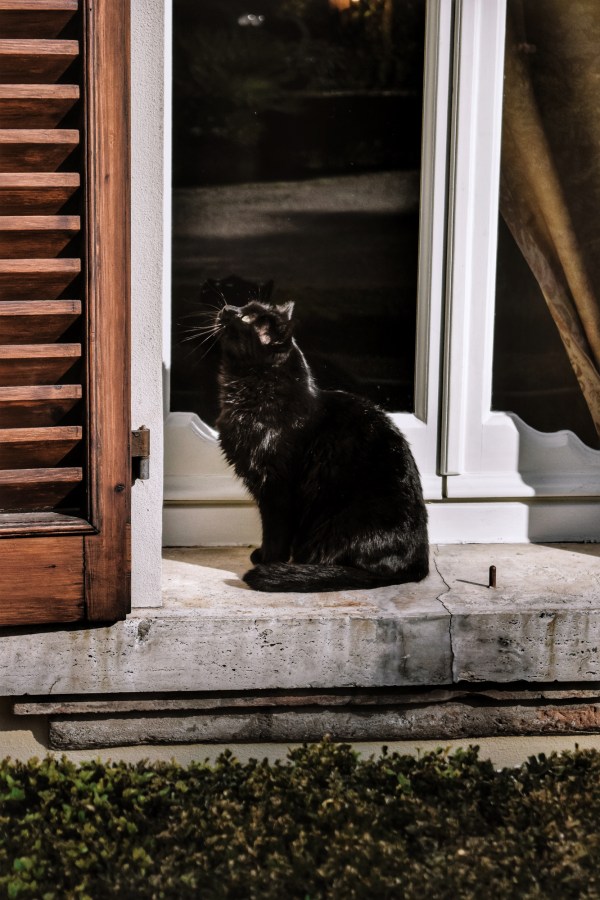 Processed with VSCO with a10 preset