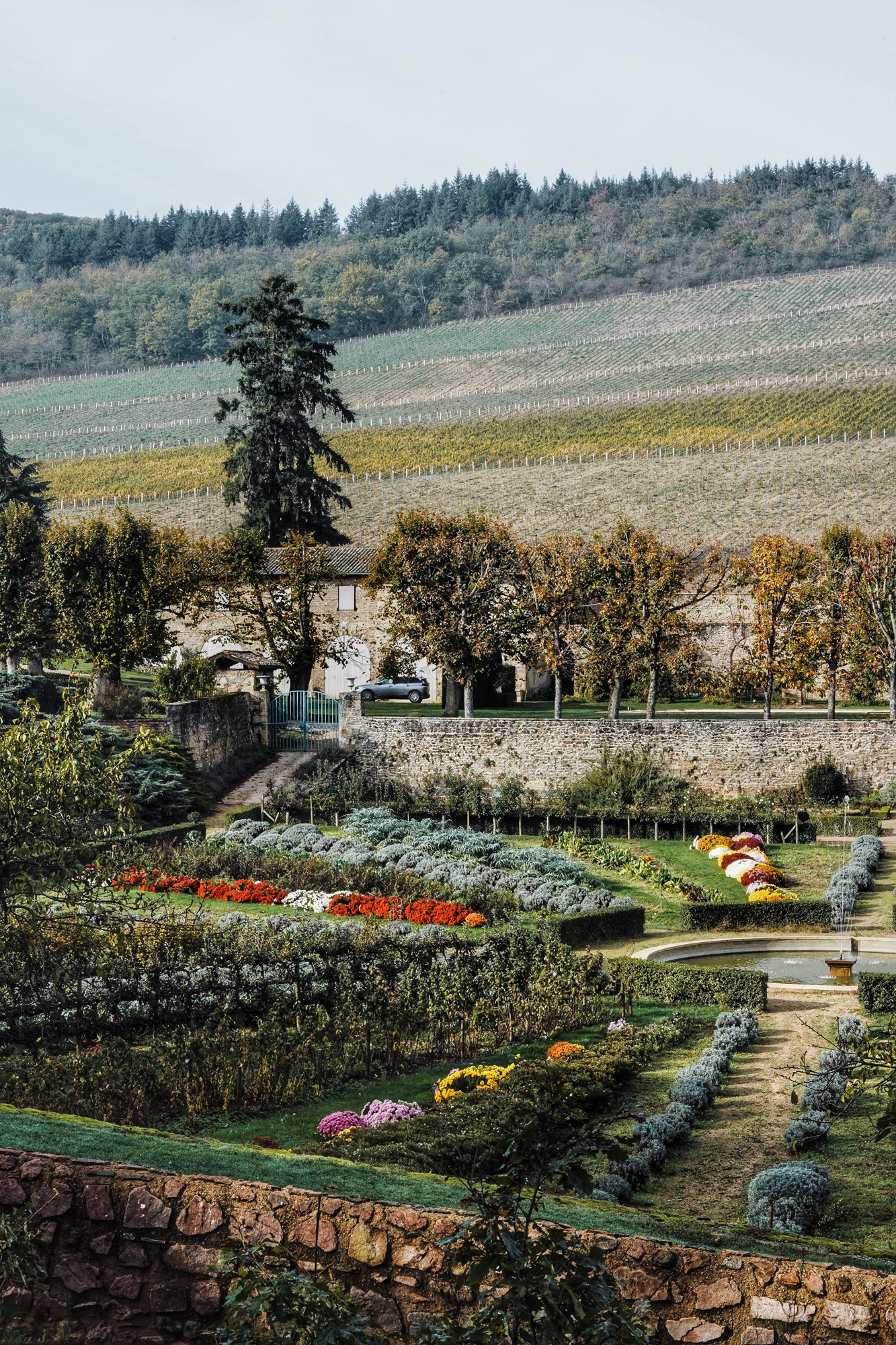 Processed with VSCO with a9 preset