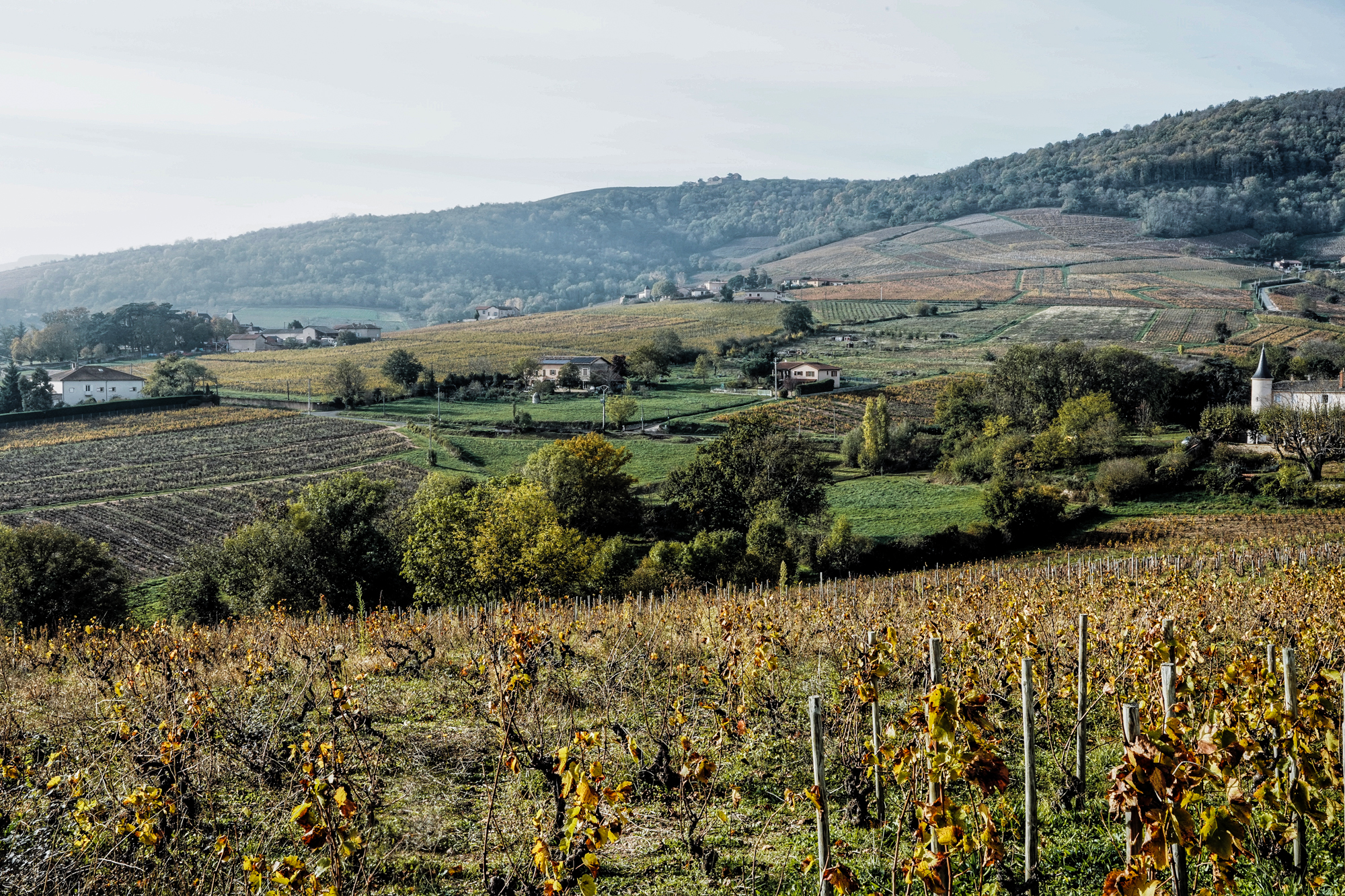 Processed with VSCO with a9 preset