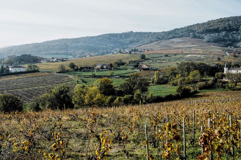 Processed with VSCO with a9 preset