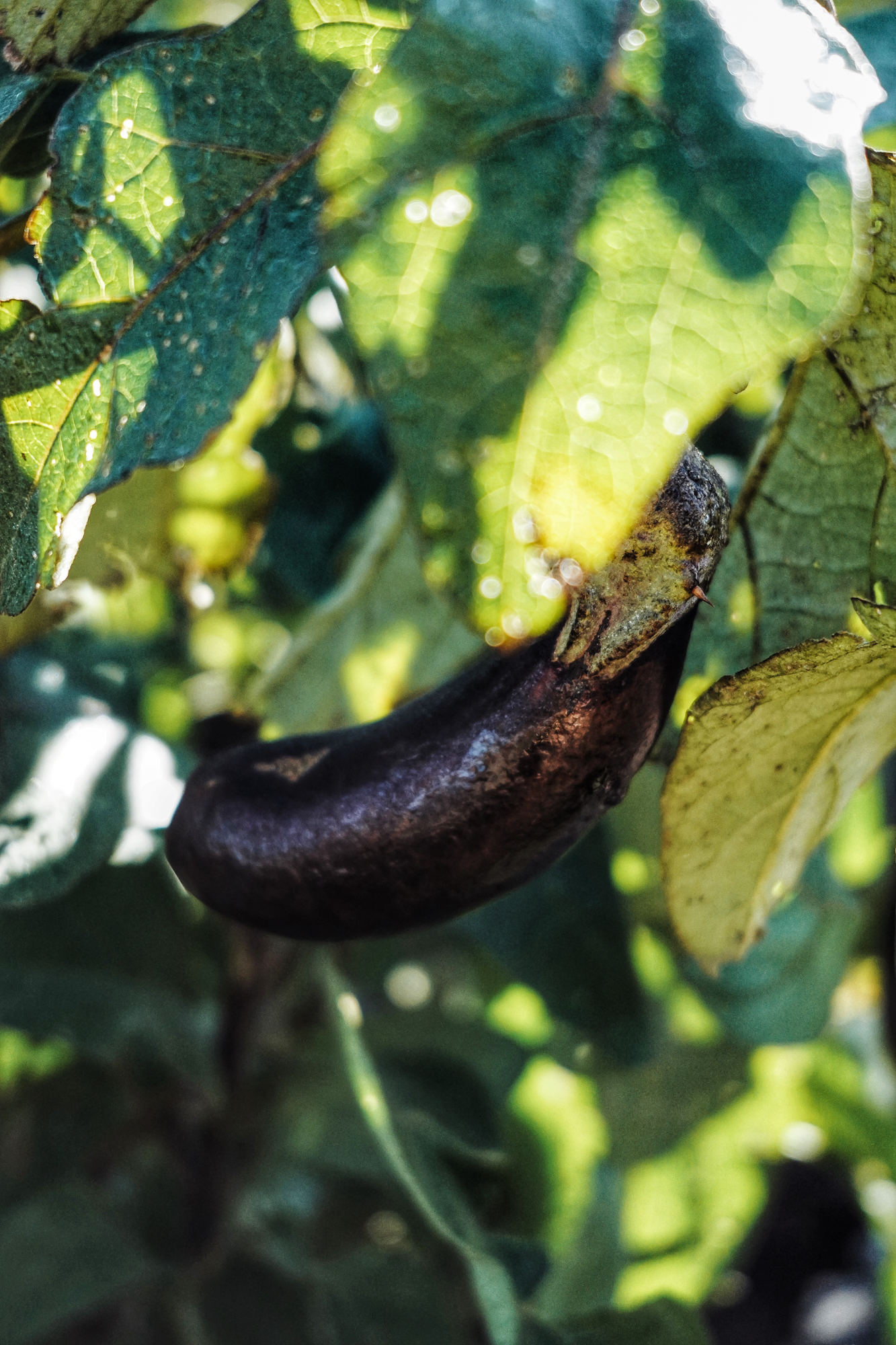 Processed with VSCO with a9 preset