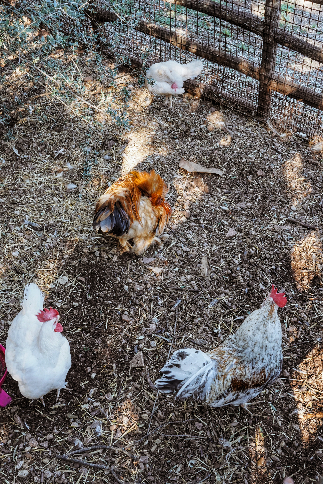 Processed with VSCO with a9 preset