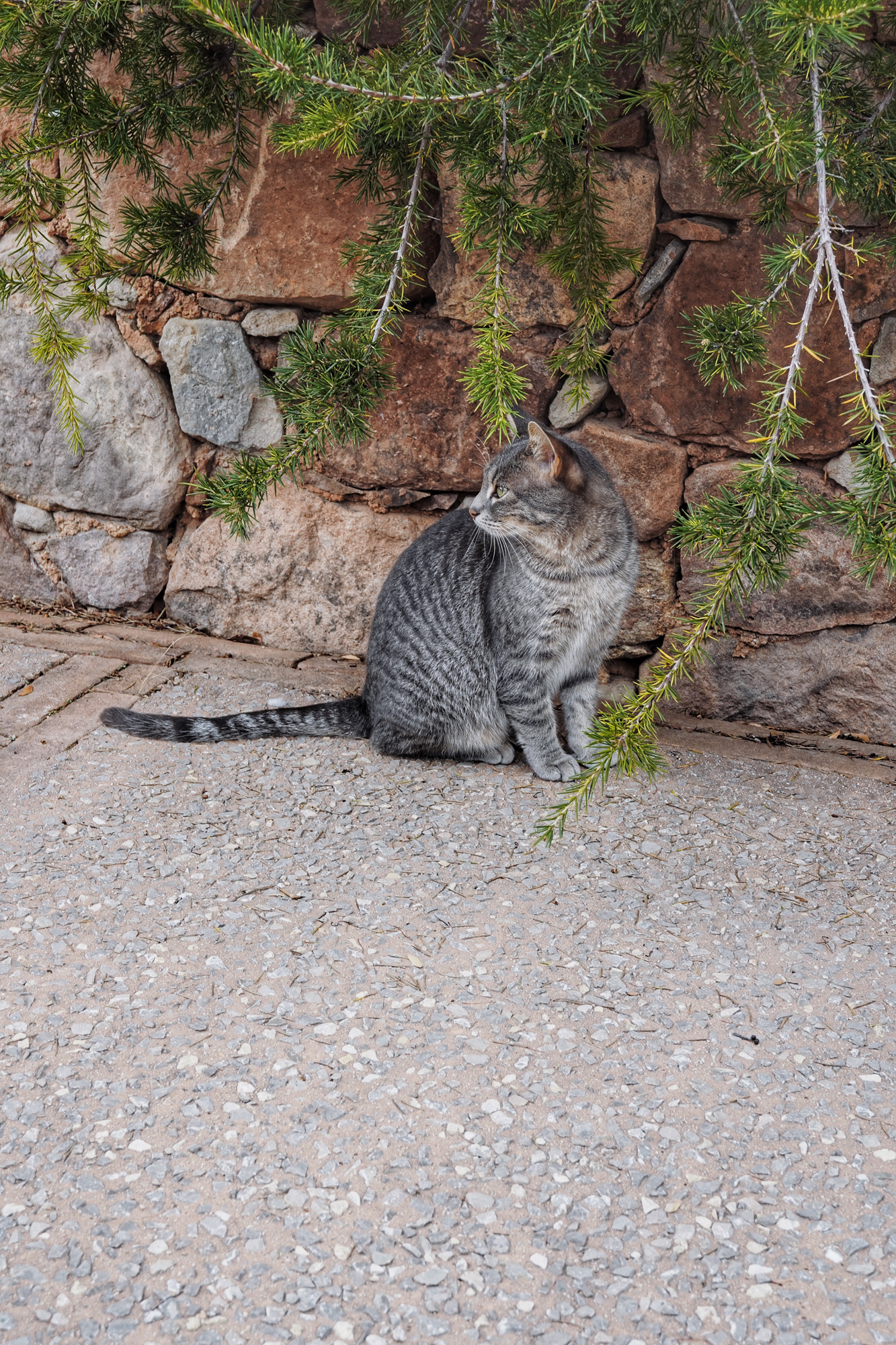 Processed with VSCO with a9 preset