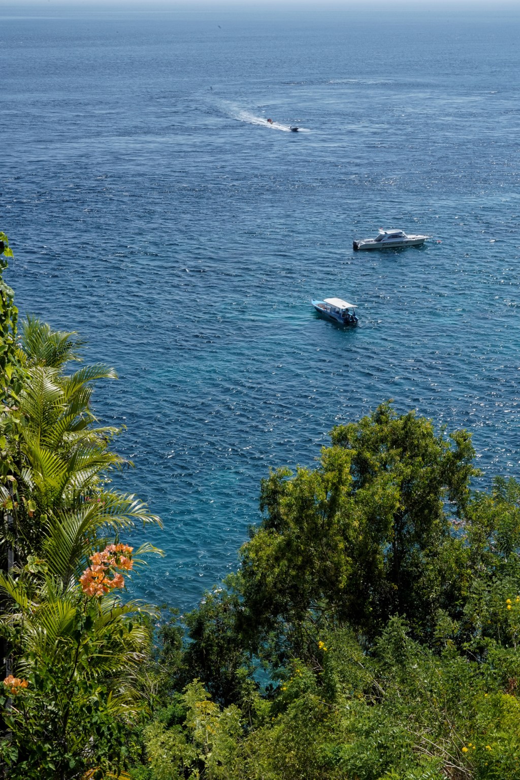 Food & Travel Guide to Nusa Penida, Bali – What to See, Eat &&nbsp;Do