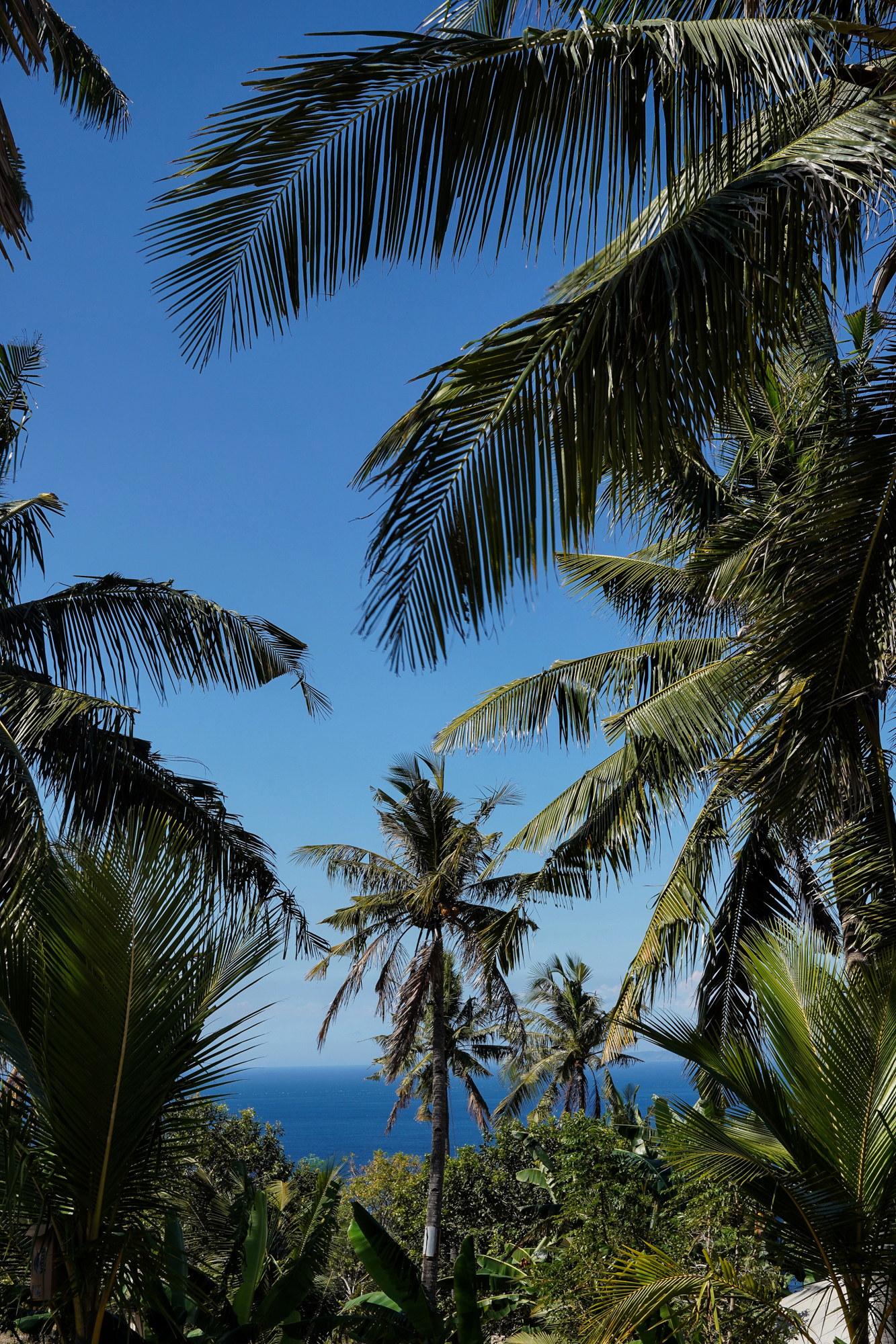 Processed with VSCO with kk1 preset