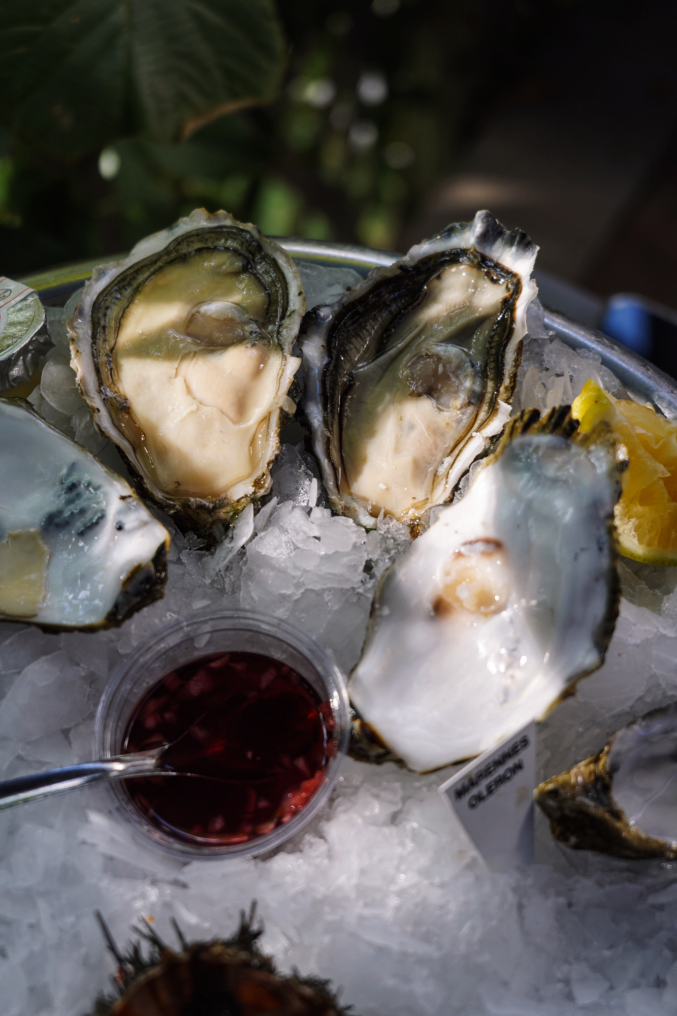 Processed with VSCO with a9 preset