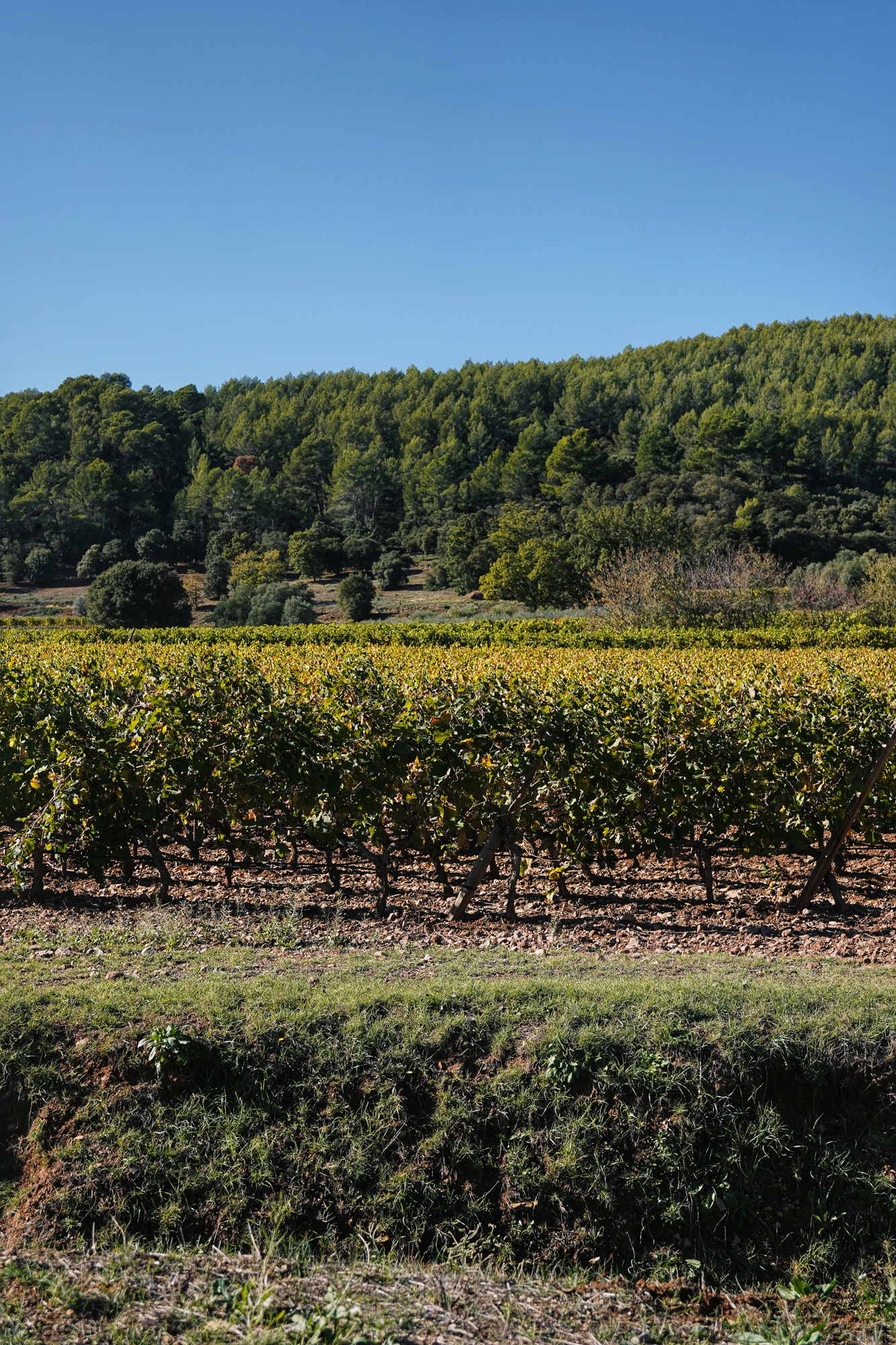 Processed with VSCO with a7 preset